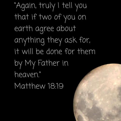 1d493838-29bc-43e8-a159-8f0f30ab7f87