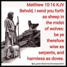 IMG_20230220_104503_785