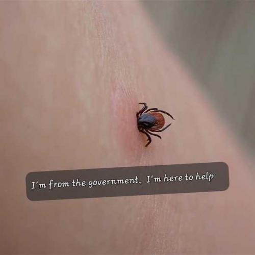 B09E75B2-F03E-47ED-B779-5B07F1AE00C6