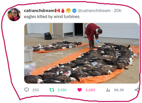 snapshot_mobile.twitter.com_1675979291103