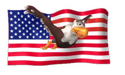 flag-america-usa-46
