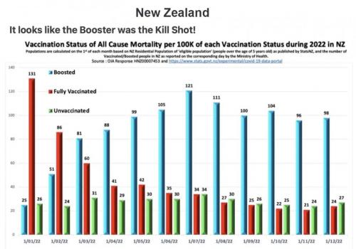NZ 2022 vax