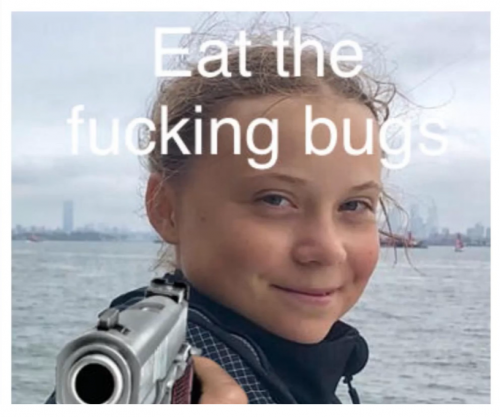 EatBugs