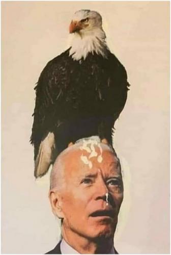 bidenandbirdshit