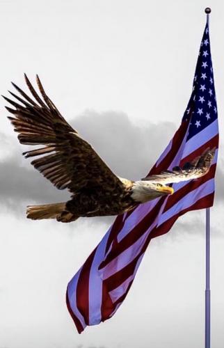 1B604F49-DBC6-40C1-8B0A-12182E4CD6B2