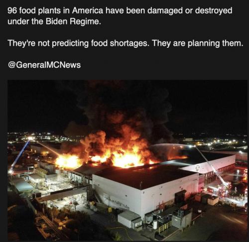 Biden burn 96 food P