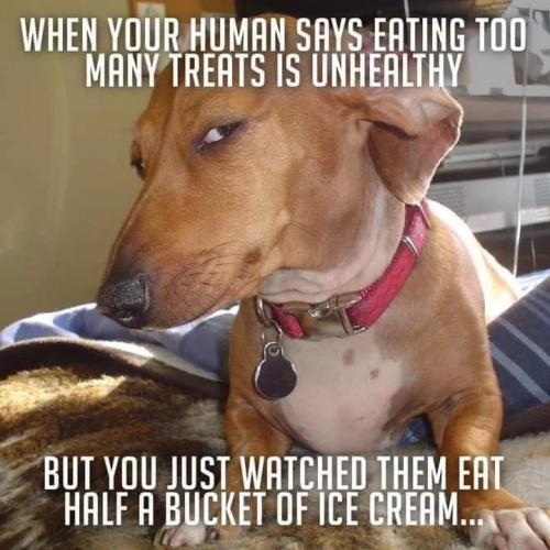 yummy_stuff1_328559621_860838165193373_7607294216918017355_n