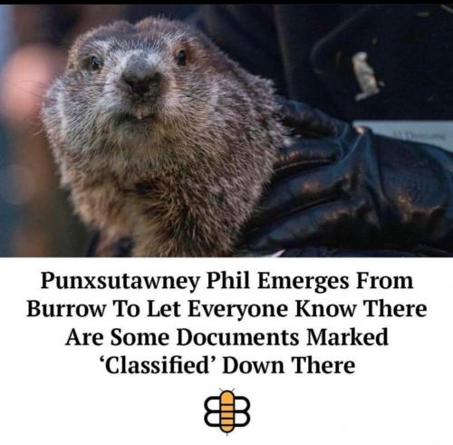 99a4abde-28bb-4a6f-8325-d5985cda81b9