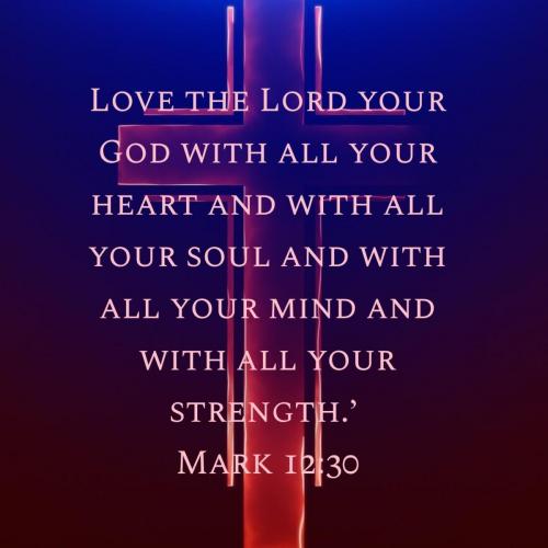 cfa6a3c3-193e-4a9a-a088-4cd2f8fa02b6