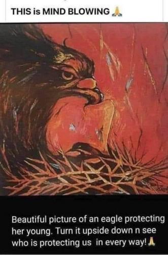 db12507b-32b5-41b8-bca8-05b963913781