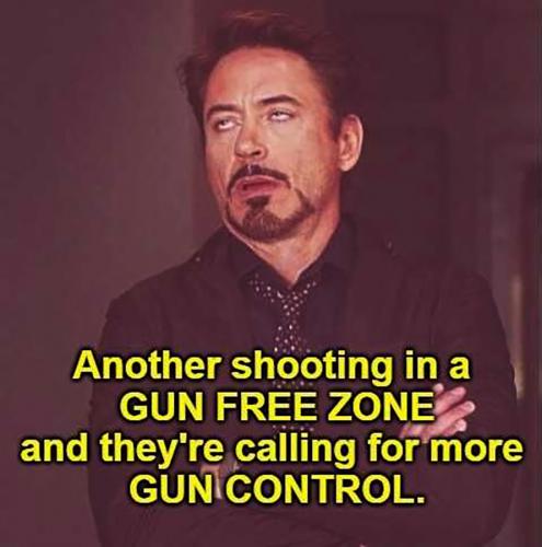 USA gun control