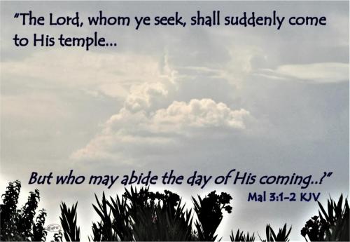 But who may abide