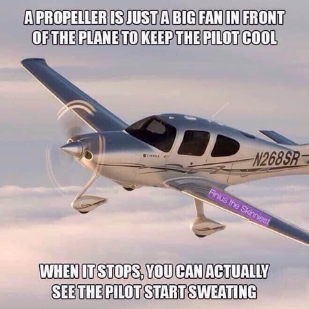 67314959_2116078675164386_1300921701055332352_n