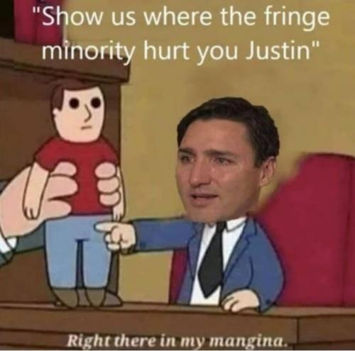 justin trudeau - versus Freedom Fighters and Truckers