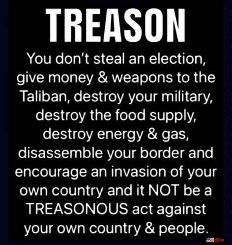 USA Treason