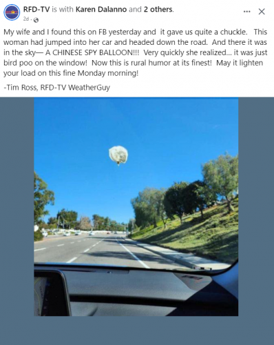 China Balloon VS Bird Shit