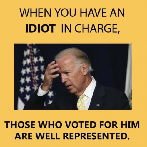 M idiot in charge