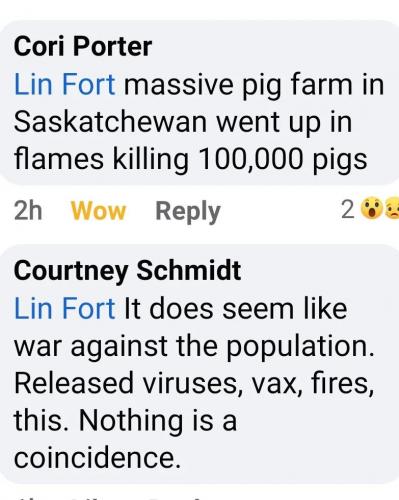 linforinformedconsent_331423063_1376507506519686_2740878623405893805_n (1)