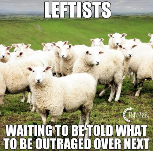 Leftists are brainwashed