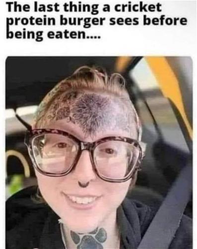 ccf2a651-9bd3-4aa4-99fa-f2cf1dfaa17d