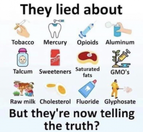 M they lied