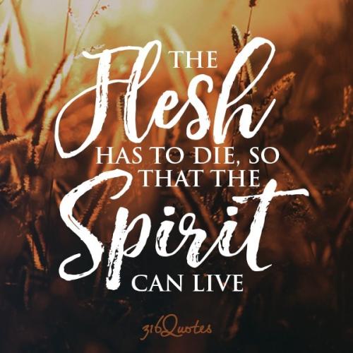 IMG_20230217_092448_931