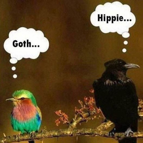 goth hippie