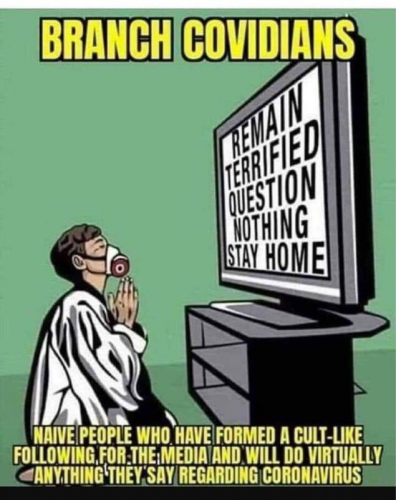 branch covidians