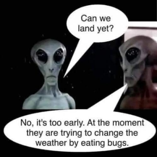 329955197_605569524725943_2629299522420954653_n