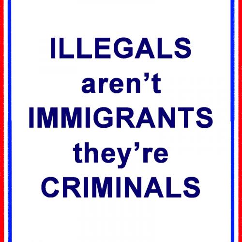USA Criminals