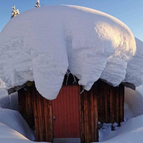 Snow Geometry -- Snow Roof