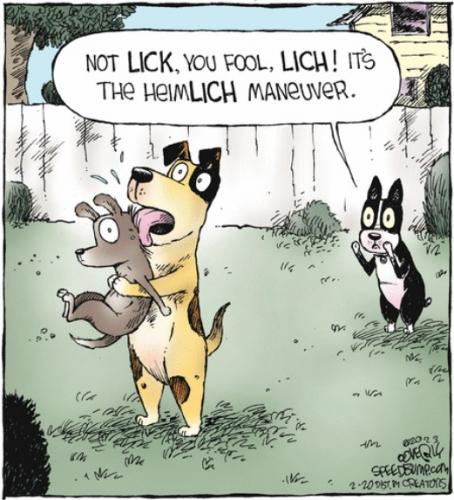 Screenshot 2023-02-20 at 07-47-04 Speed Bump by Dave Coverly for February 20 2023 GoComics