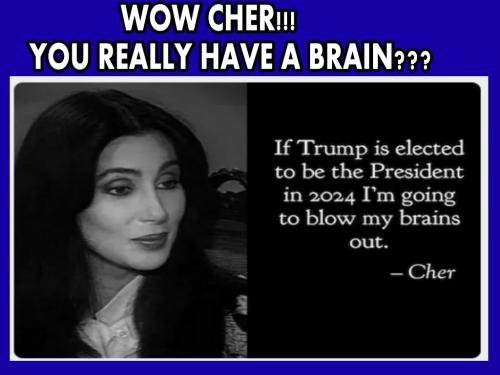 CHER'S BRAIN