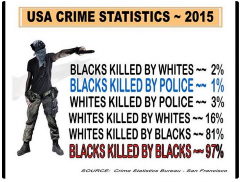 Gun -- Crime Statistics by Race