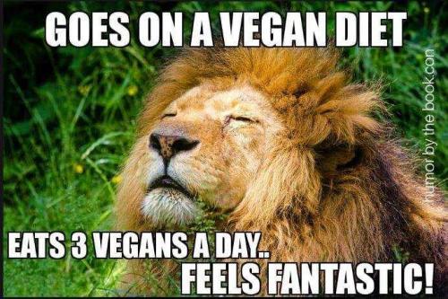 8CDE6BC9-A6EA-4D84-9797-78B926C048C2