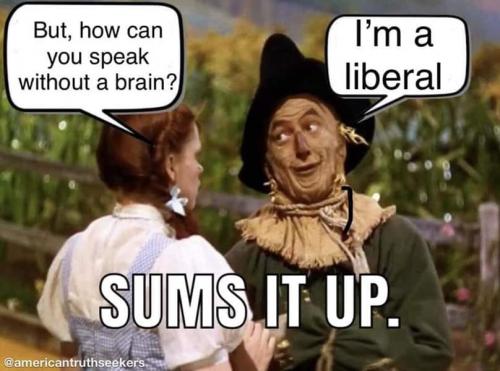 Liberal 142 - no brain
