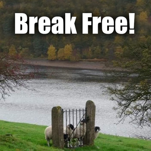 break free