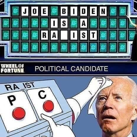 DEM BIDEN (5)