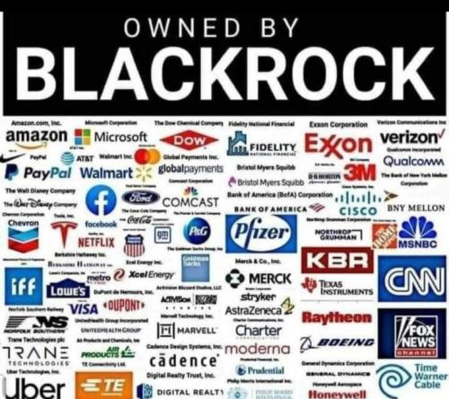 BlackRock -- Owns
