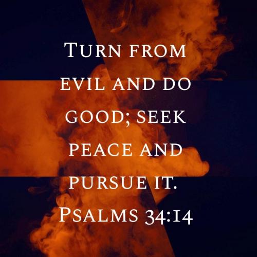 f377aa41-60fb-426b-adac-19e4e70c2588