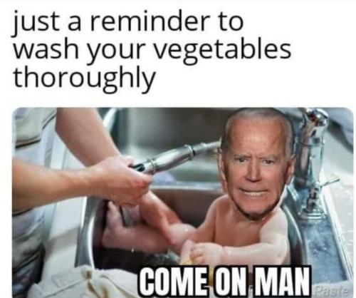bidenwasyourvegitables
