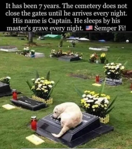 61666690-2611-4076-8880-7439438acb54