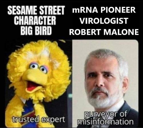bigbird