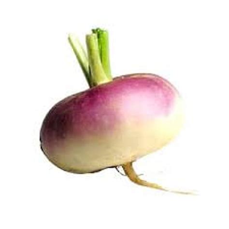 A turnip
