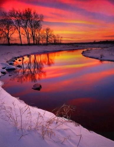 FB_IMG_1676635815855