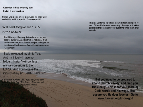 CA RipTide