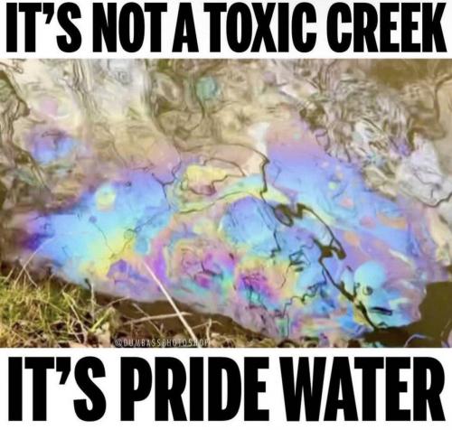 d2cf6d12-c7a8-4b16-8aeb-5970a1bda07f