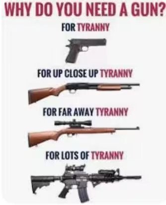 gun1
