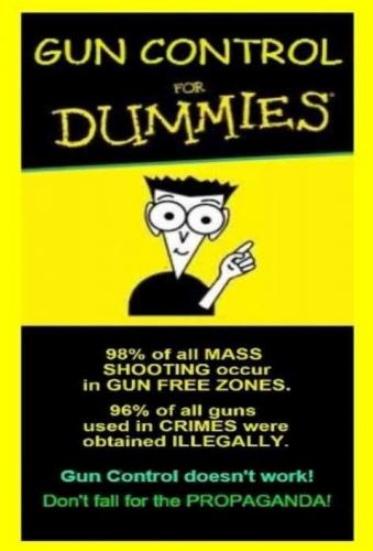 USA gun control for dummies