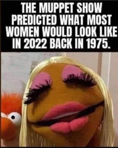 328614923_917407923030743_4768327838582139915_n